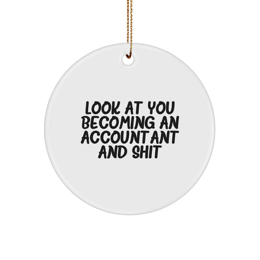 Accountant Keepsake Christmas Ornament for Him Gift – Holiday Humor - Image 1