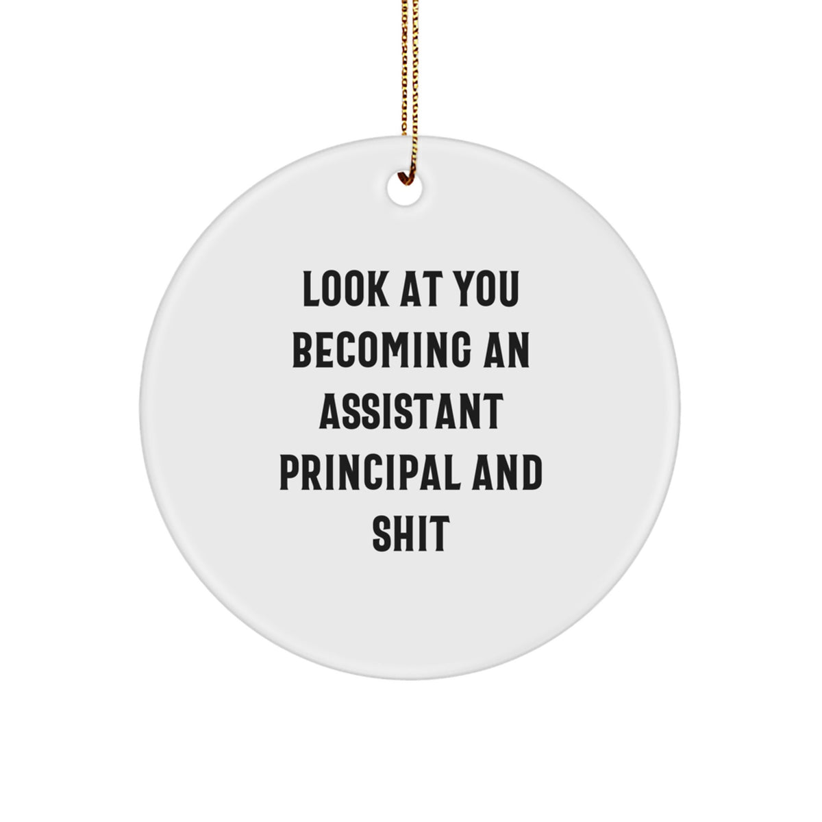 Assistant Principal Christmas Ornament Idea Gift for Coworkers - Image 1