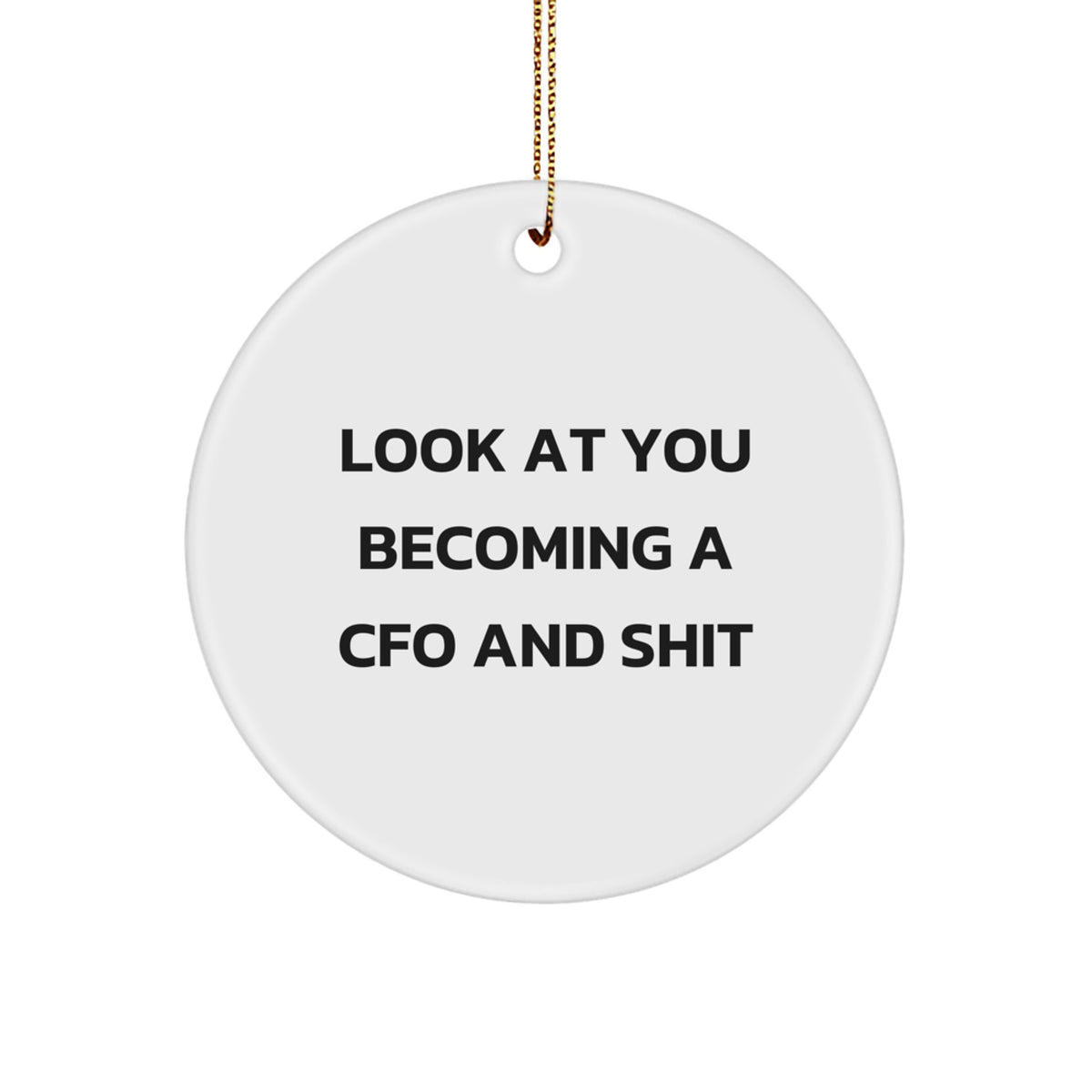 Funny CFO Gifts for Men, Funny CFO Ornament, 'Look At You Becoming A CFO And Shit' Christmas Unique Gifts from Friends - Image 1