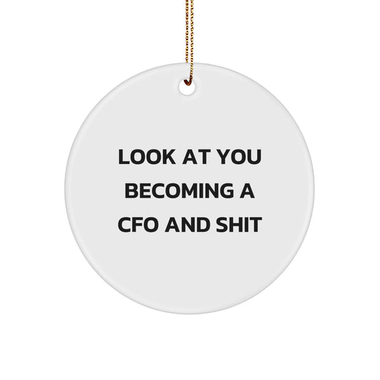Funny CFO Gifts for Men, Funny CFO Ornament, 'Look At You Becoming A CFO And Shit' Christmas Unique Gifts from Friends - Image 1