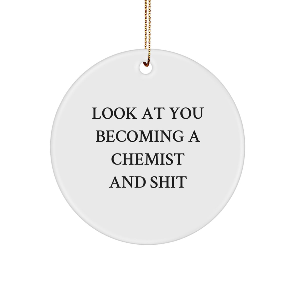 Hilarious Chemist Christmas Ornament Gift for Friends - Look At You - Image 1