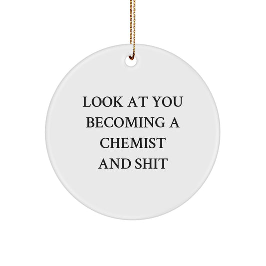 Hilarious Chemist Christmas Ornament Gift for Friends - Look At You - Image 1