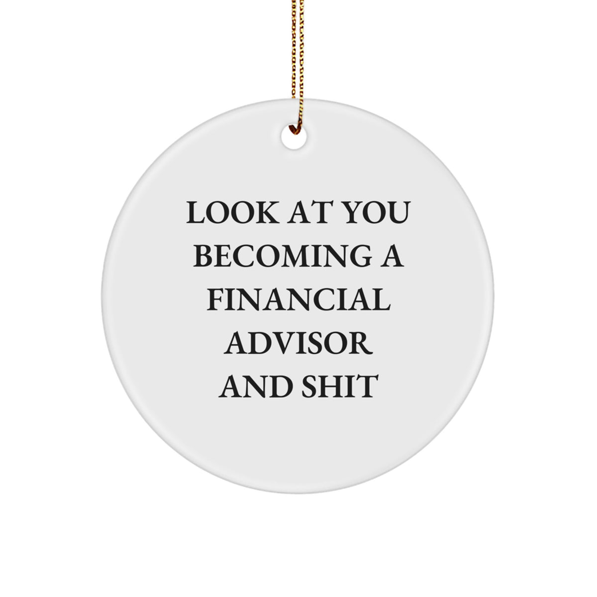 Financial Advisor Christmas Ornament for Family, Funny 'And Shit' Gift - Image 1