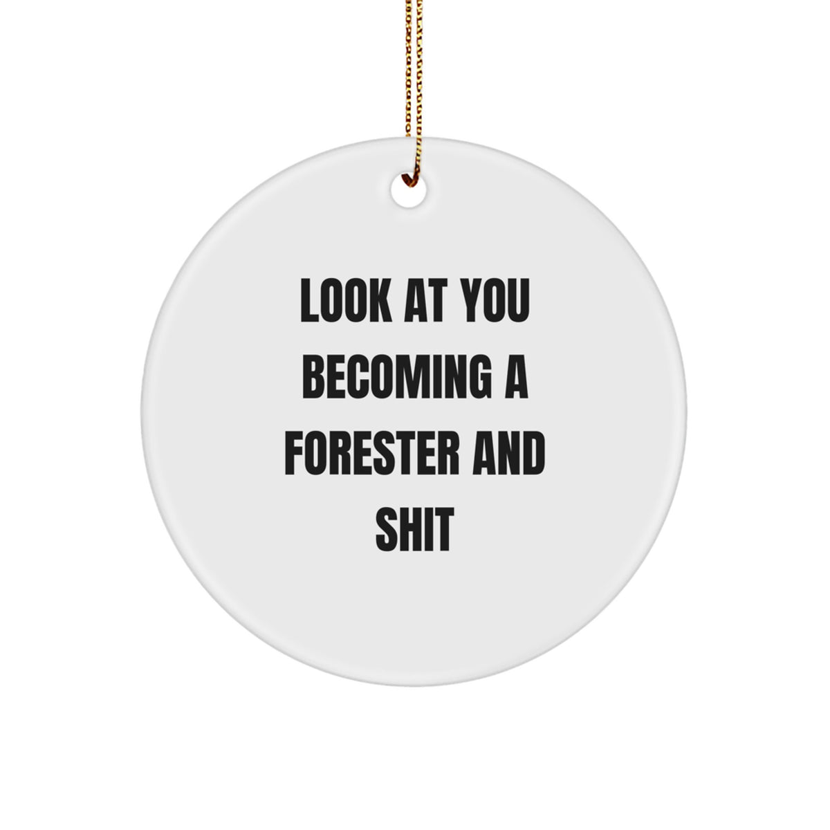 Forester Circle Ornament for Coworkers Hilarious Christmas Gift - Image 1