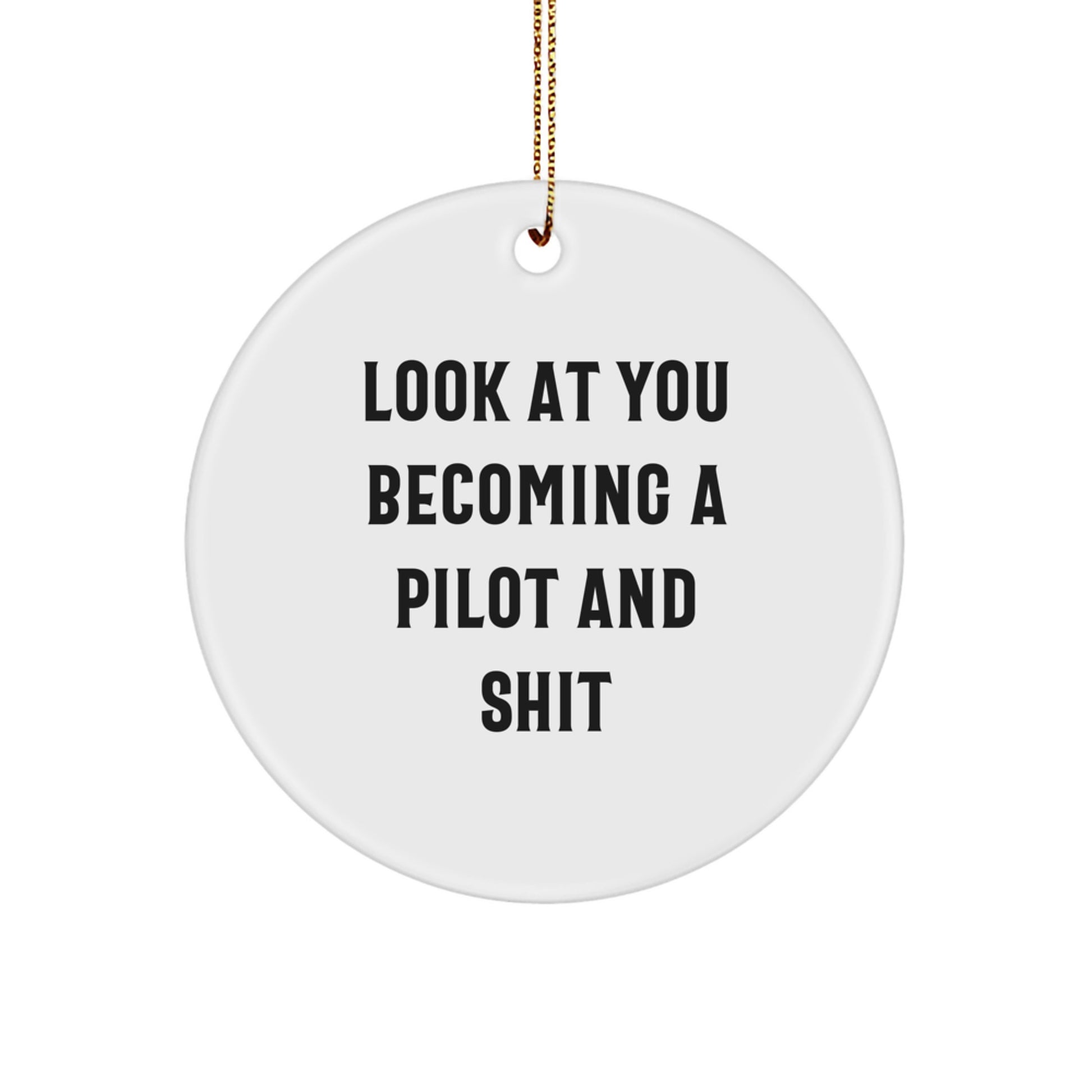 Funny Pilot Circle Ornament Gifts for Men from Friends, Unique Christmas Unique Gifts for Pilots, 'Look At You Becoming A Pilot And Shit' Inspirational - Image 1
