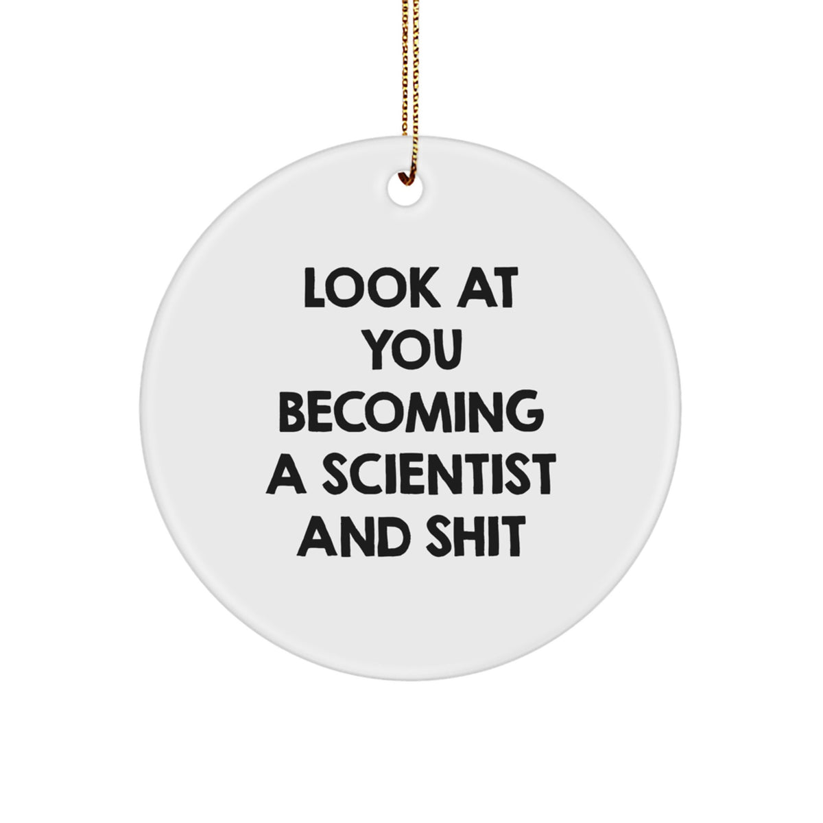 Sarcastic Scientist Christmas Ornament Gift for Friends Novelty - Image 1