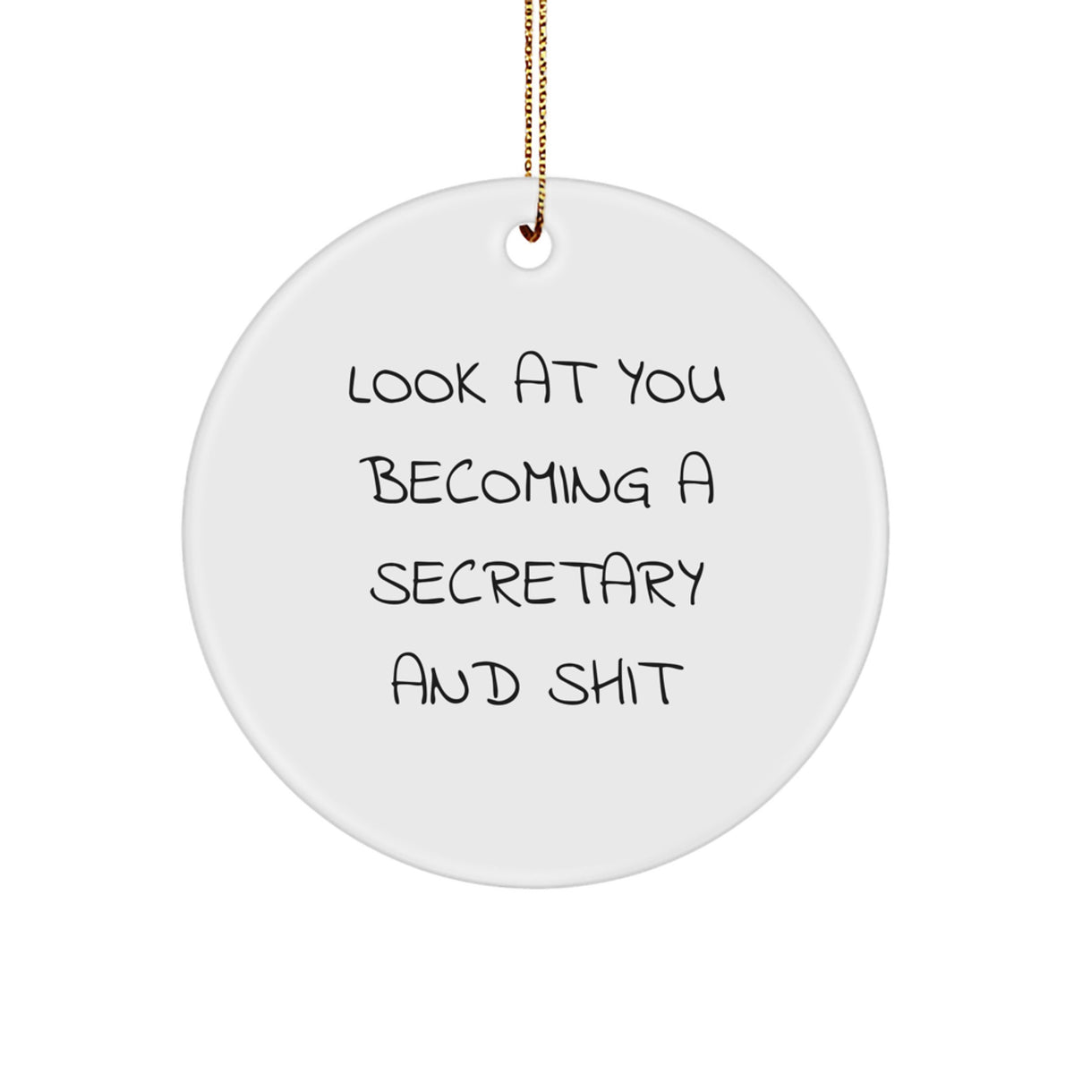 Secretary Christmas Ornament Gift for Coworkers - Funny 'Look At You - Image 1