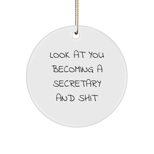 Secretary Christmas Ornament Gift for Coworkers - Funny 'Look At You - Image 1
