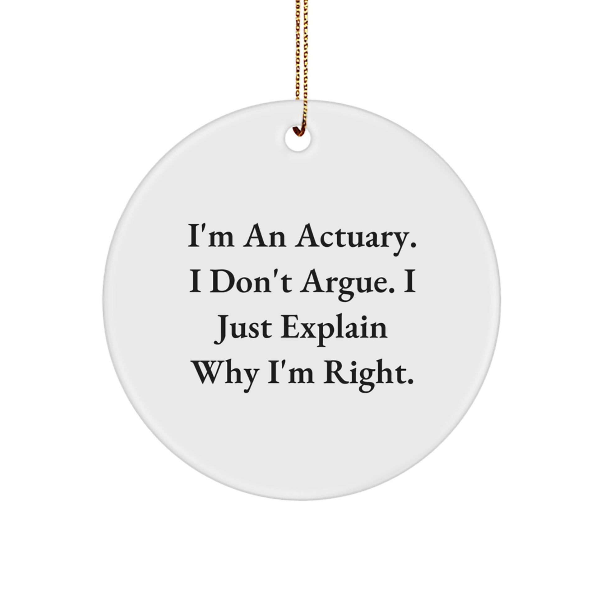 Funny Actuary Gifts from Friends for Actuary Men, Cute Circle Ornament Quotes, Christmas Unique Gifts - Image 1