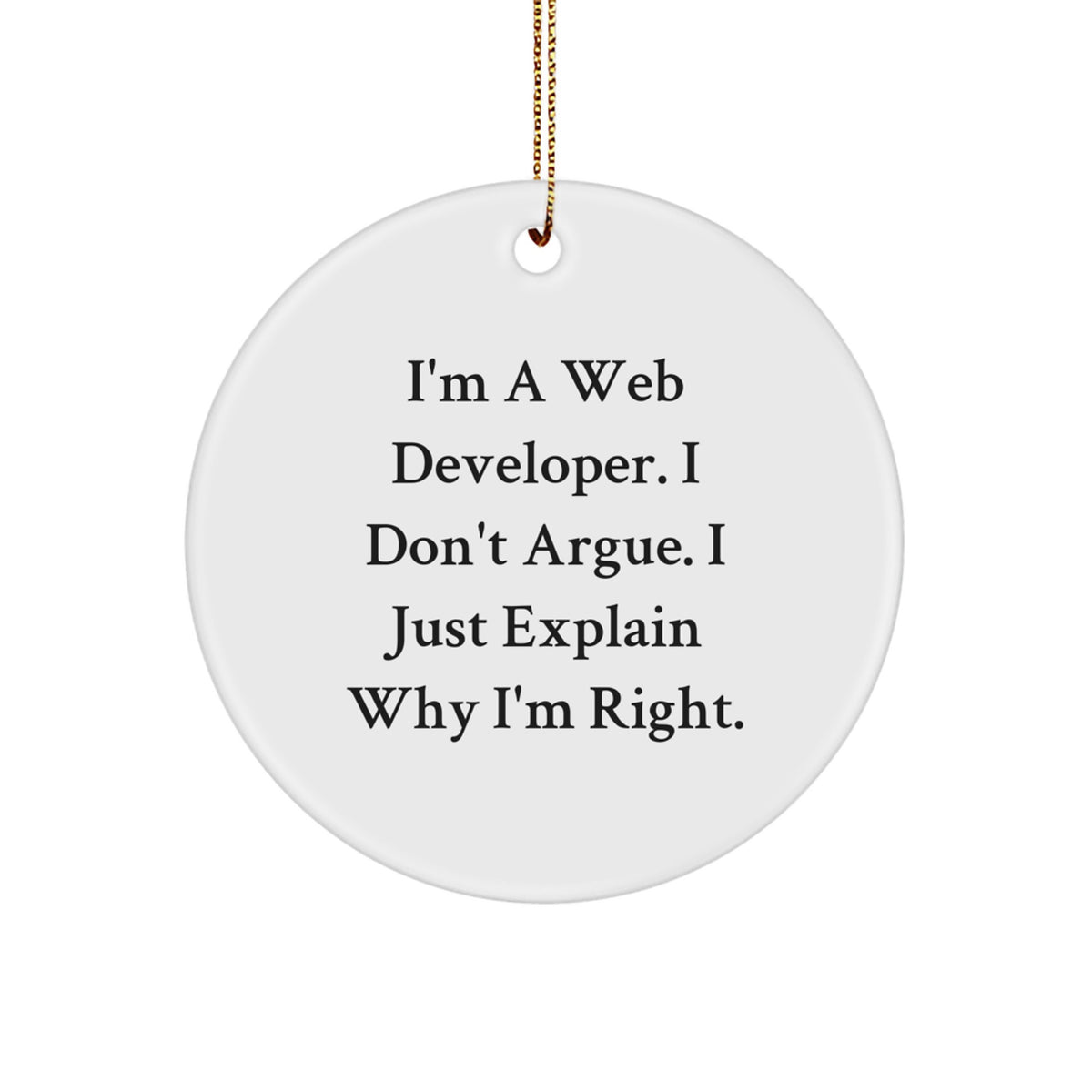 Funny Web Developer Circle Ornament Gifts from Friends, Web Developer Funny Quote Christmas Unique Gifts for Him, Circle Ornament Decorations for Web Developers - Image 1