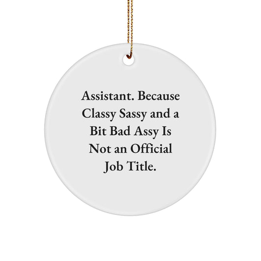 Funny Assistant Gifts Circle Ornament, Unique Christmas Unique Gift for Assistant, Circle Ornament with Sassy Quote, Gifts from Friends and Family - Image 1