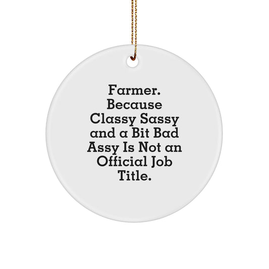 Farmer Christmas Ornament for Her Present – Bright Christmas Gift - Image 1