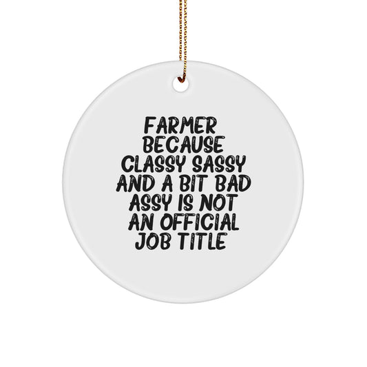 Farmer Keepsake Christmas Ornament for Him Gift - Image 1
