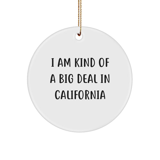 California Fun Circle Ornament Gifts from Friends and Family, I Am Kind Of A Prime Selection In California Christmas Ornament for Your California Home Decor - Image 1