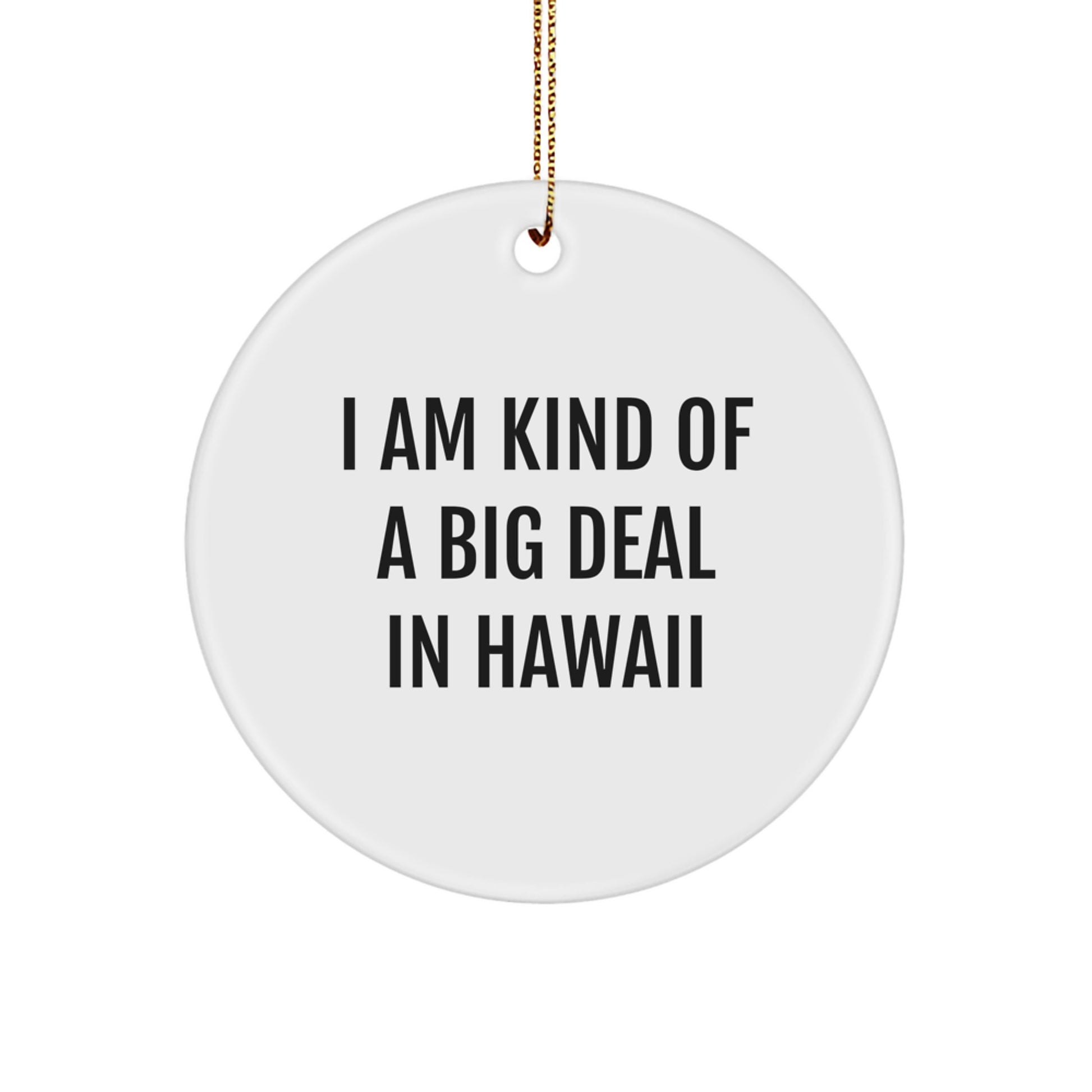 Hawaii Island Circle Ornament Funny Humor Gift for Friends from Hawaii, Unique Hawaii Christmas Unique Gifts, I Am Kind Of A Prime Selection Hawaiian Decor - Image 1