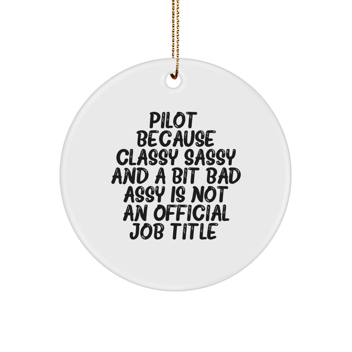 Christmas Gift Classy, Sassy Pilot Ornament for Teens - A Surprise - Image 1