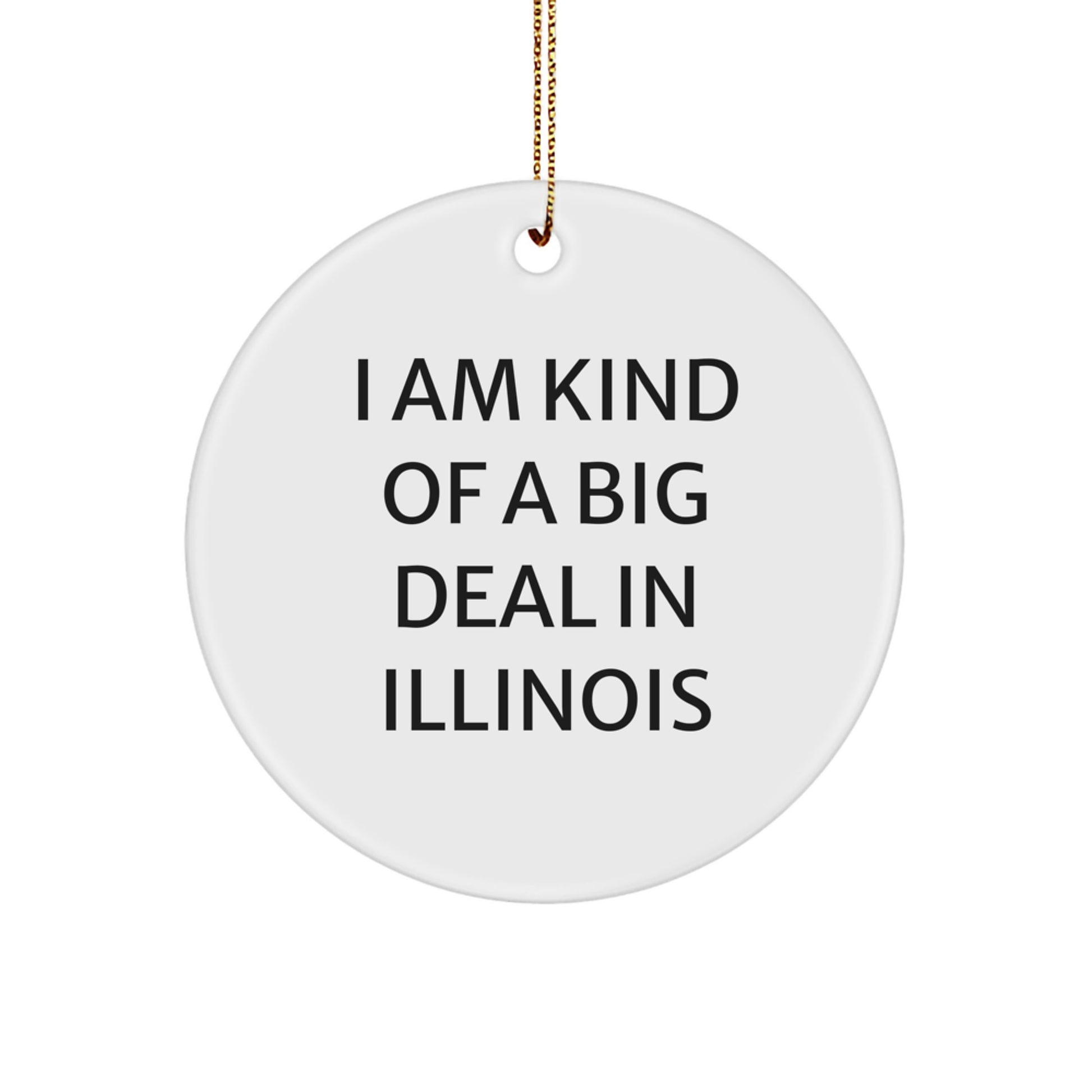 Funny Illinois Circle Ornament, Gifts from Illinoisans, 'I Am Kind Of A Prime Selection In Illinois', Unique Christmas Decorations, Illinois Gifts for Friends and Family, - Image 1