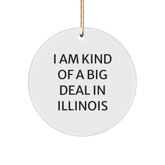 Funny Illinois Circle Ornament, Gifts from Illinoisans, 'I Am Kind Of A Prime Selection In Illinois', Unique Christmas Decorations, Illinois Gifts for Friends and Family, - Image 1