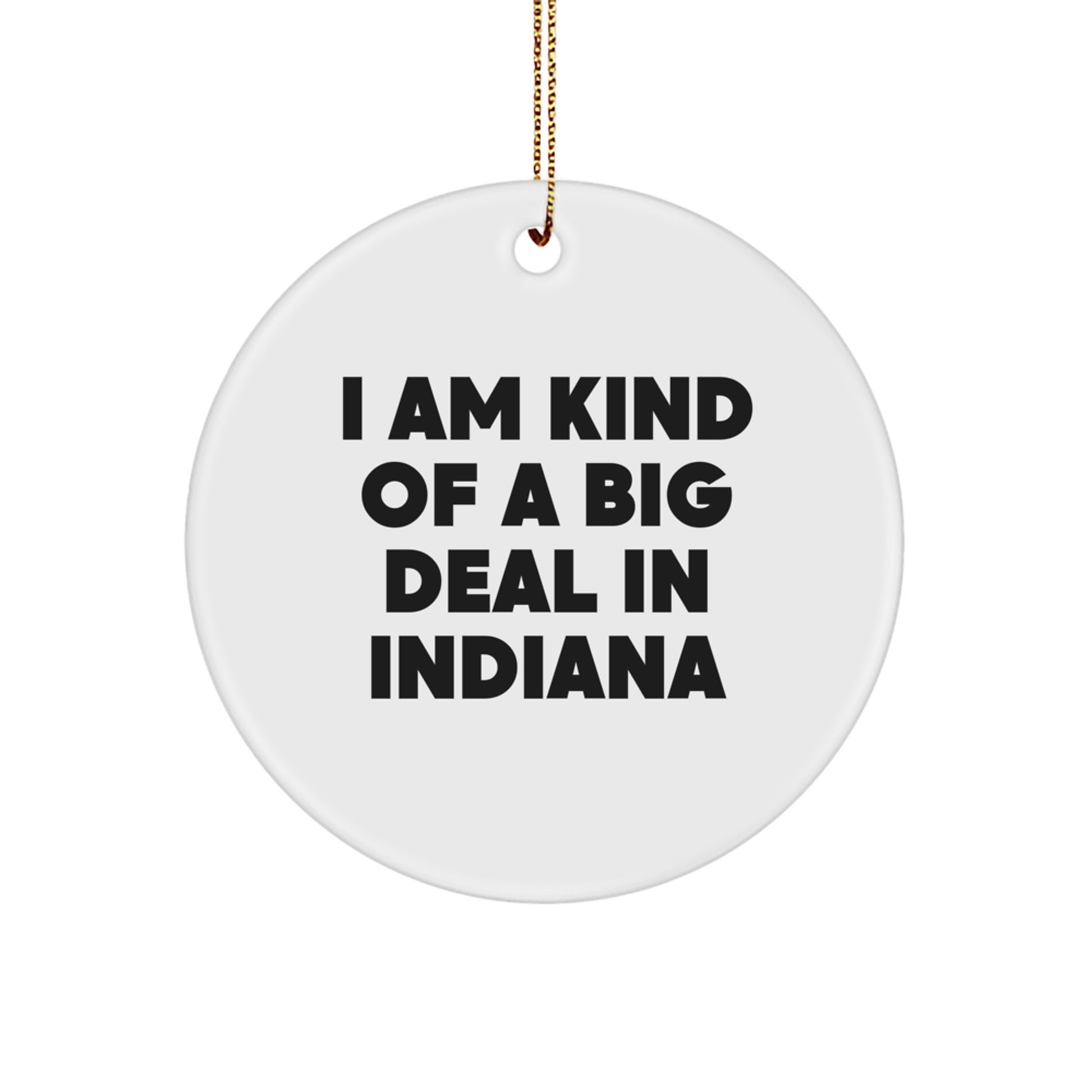 Funny Indiana Circle Ornament Gifts from Friends for Indiana Lovers, I Am Kind Of A Prime Selection In Indiana - Image 1