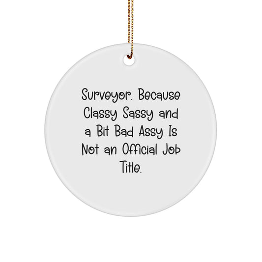 Funny Surveyor Circle Ornaments for Men Gifts from Family - Christmas Unique Gifts - Image 1