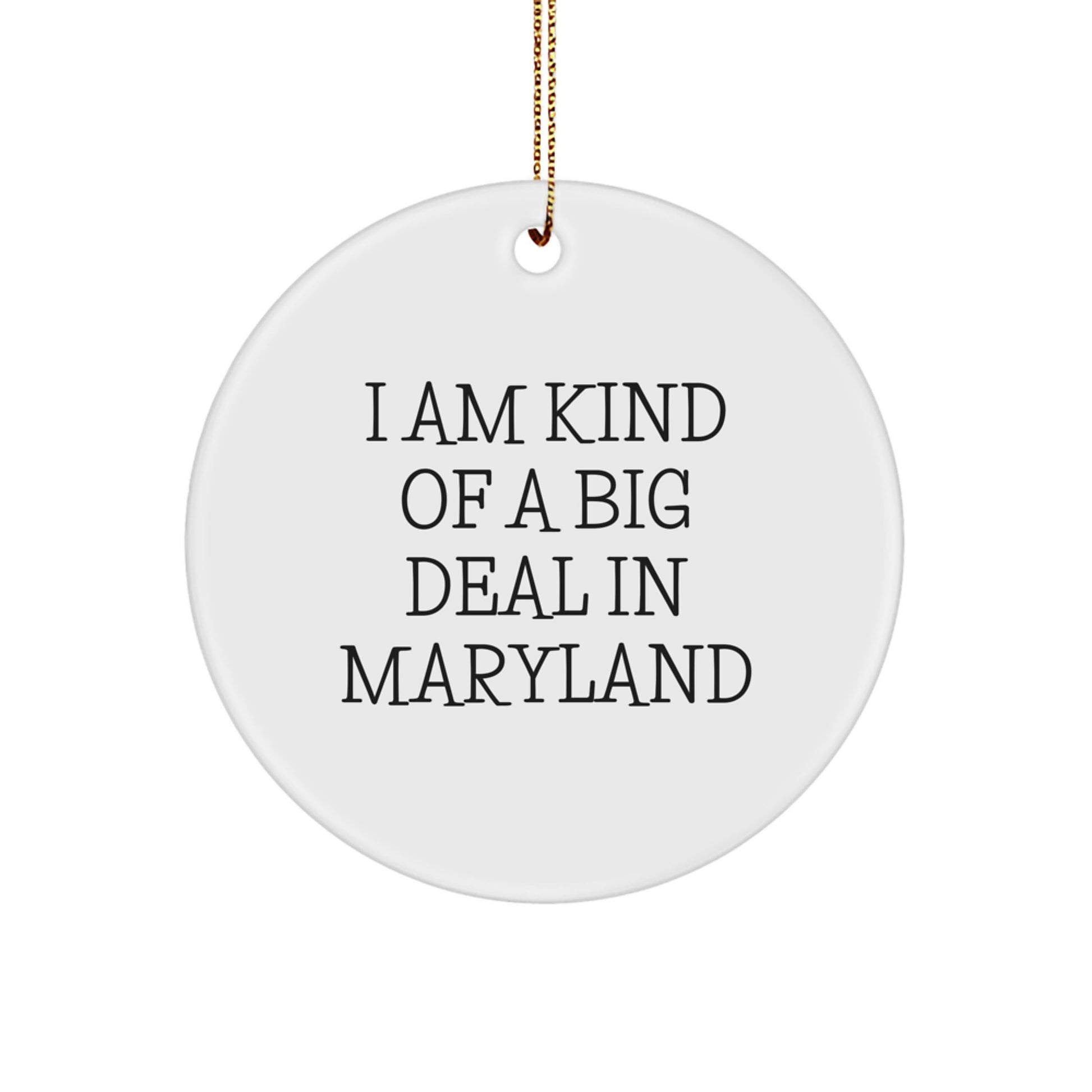 Funny Maryland Gifts from Friends Circle Ornament, I Am Kind Of A Prime Selection In Maryland Christmas Unique - Image 1