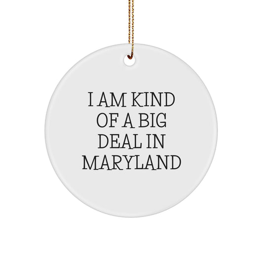 Funny Maryland Gifts from Friends Circle Ornament, I Am Kind Of A Prime Selection In Maryland Christmas Unique - Image 1
