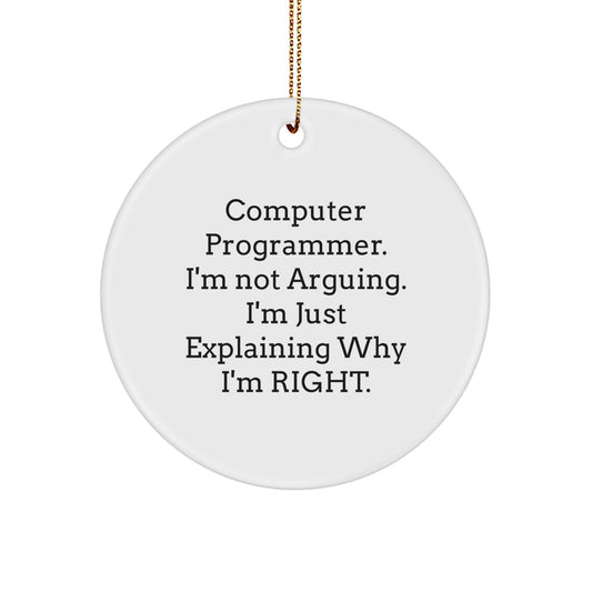 Assertive Computer Programmer Christmas Ornament Gift for Roommates - Image 1