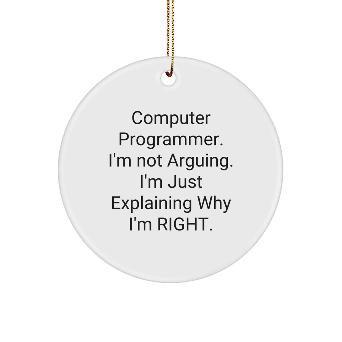 Christmas Gift for Teens Surprise Computer Programmer Circle Ornament - Image 1