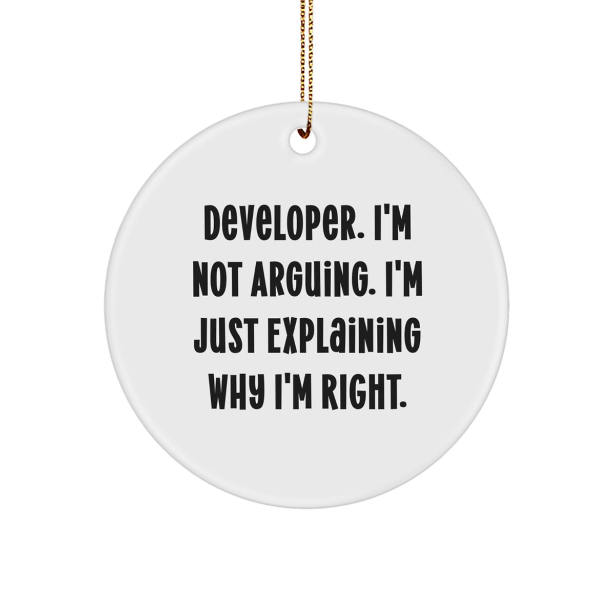 Christmas Gift for Teens Developer Circle Ornament - Surprise - Image 1