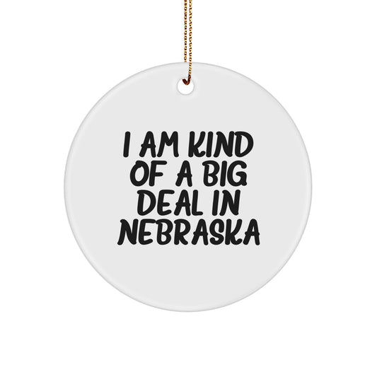 Funny Nebraska Gifts, Cute I Am Kind Of A Prime Selection Circle Ornament, Christmas Unique Gifts from Friends and Family - Image 1
