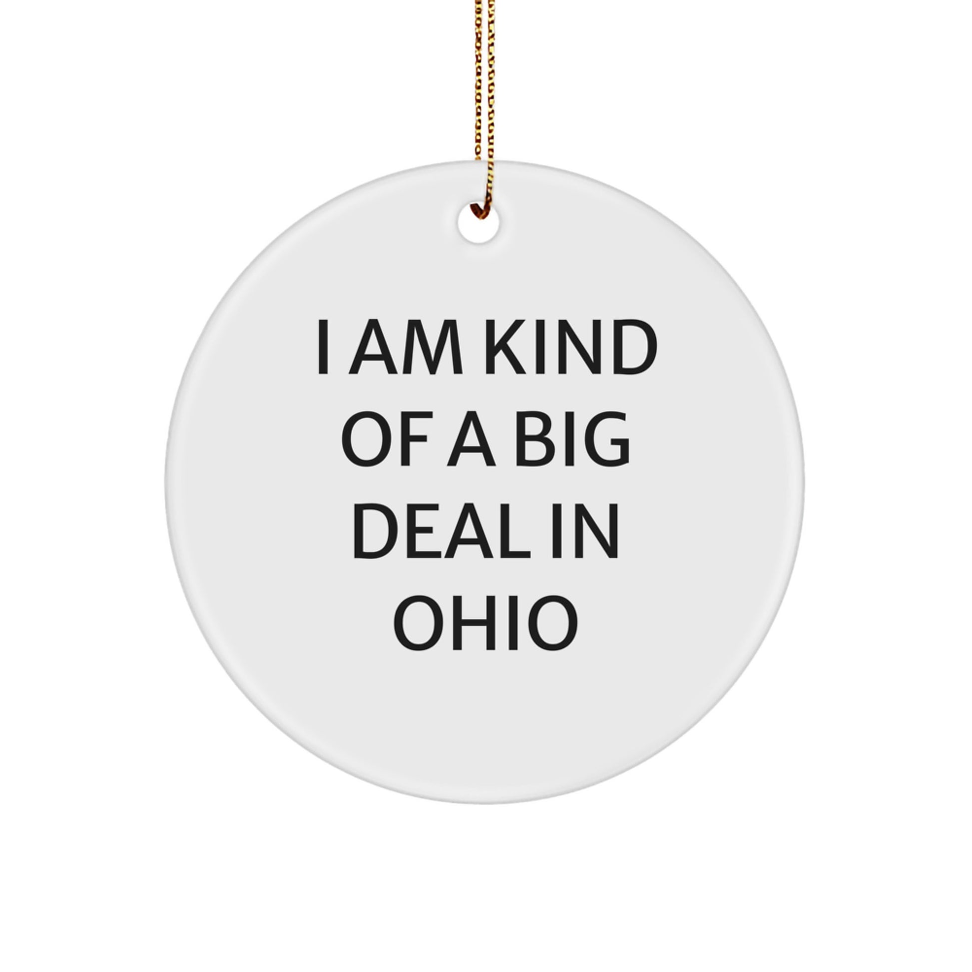 Funny Ohio Circle Ornament I Am Kind Of A Prime Selection In Ohio Gifts for Family Friends - Image 1