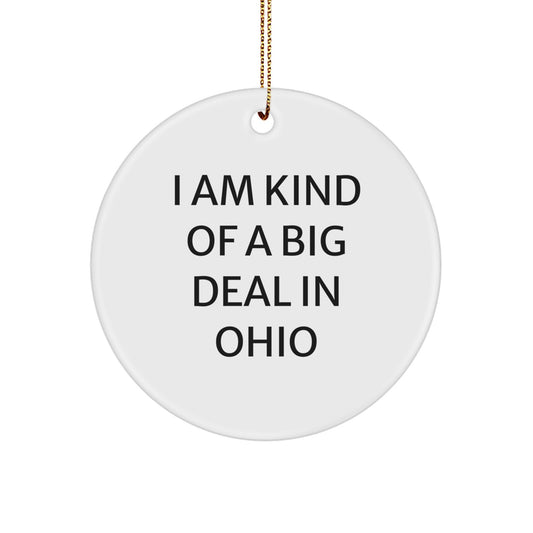 Funny Ohio Circle Ornament I Am Kind Of A Prime Selection In Ohio Gifts for Family Friends - Image 1