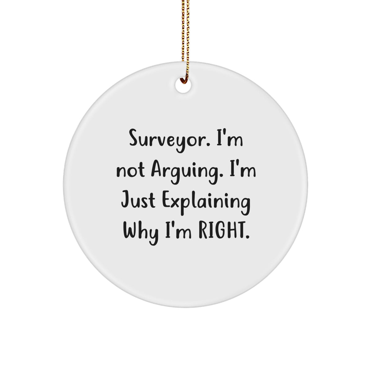 Quirky Surveyor Circle Ornament Novelty for Friends Christmas Gift - Image 1