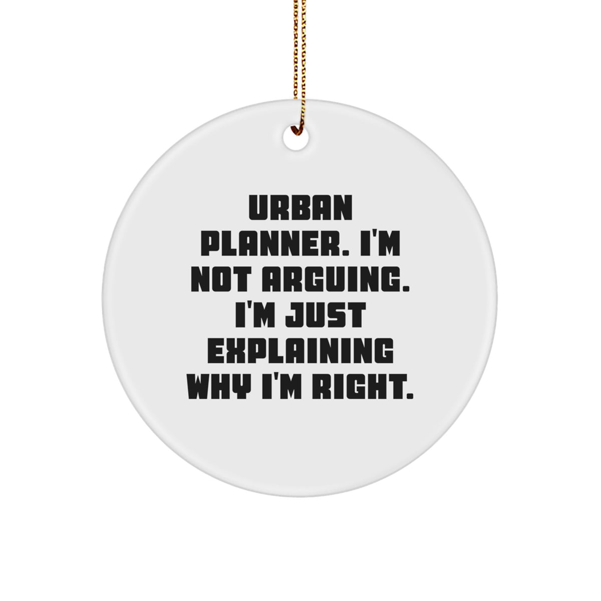 Colleague Companion Urban Planner Circle Ornament Christmas Unique Gift - Image 1