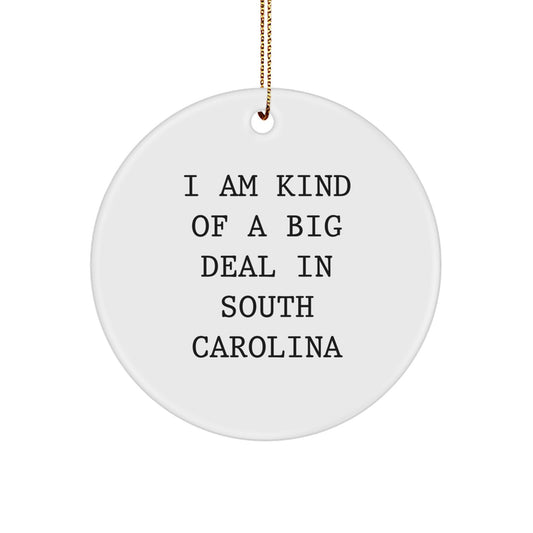 Fun South Carolina Christmas Unique Gifts from Friends for South Carolina Lovers, I Am Kind Of A Prime Selection Ornament, Circle Ornament - Image 1