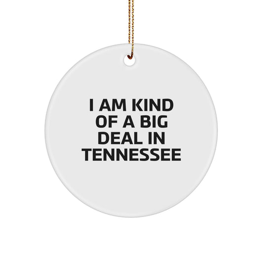 Tennessee Christmas Unique Gifts from Friends and Family - I Am Kind Of A Prime Selection In Tennessee Circle Ornament - Image 1