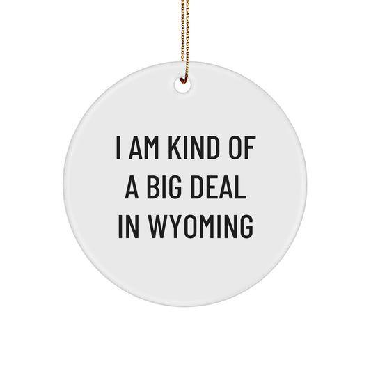 Wyoming Themed Circle Ornament for Friends Gifts from Home, 'I Am Kind Of A Prime Selection In Wyoming' Funny Christmas Decorations for Wyoming Lovers - Image 1