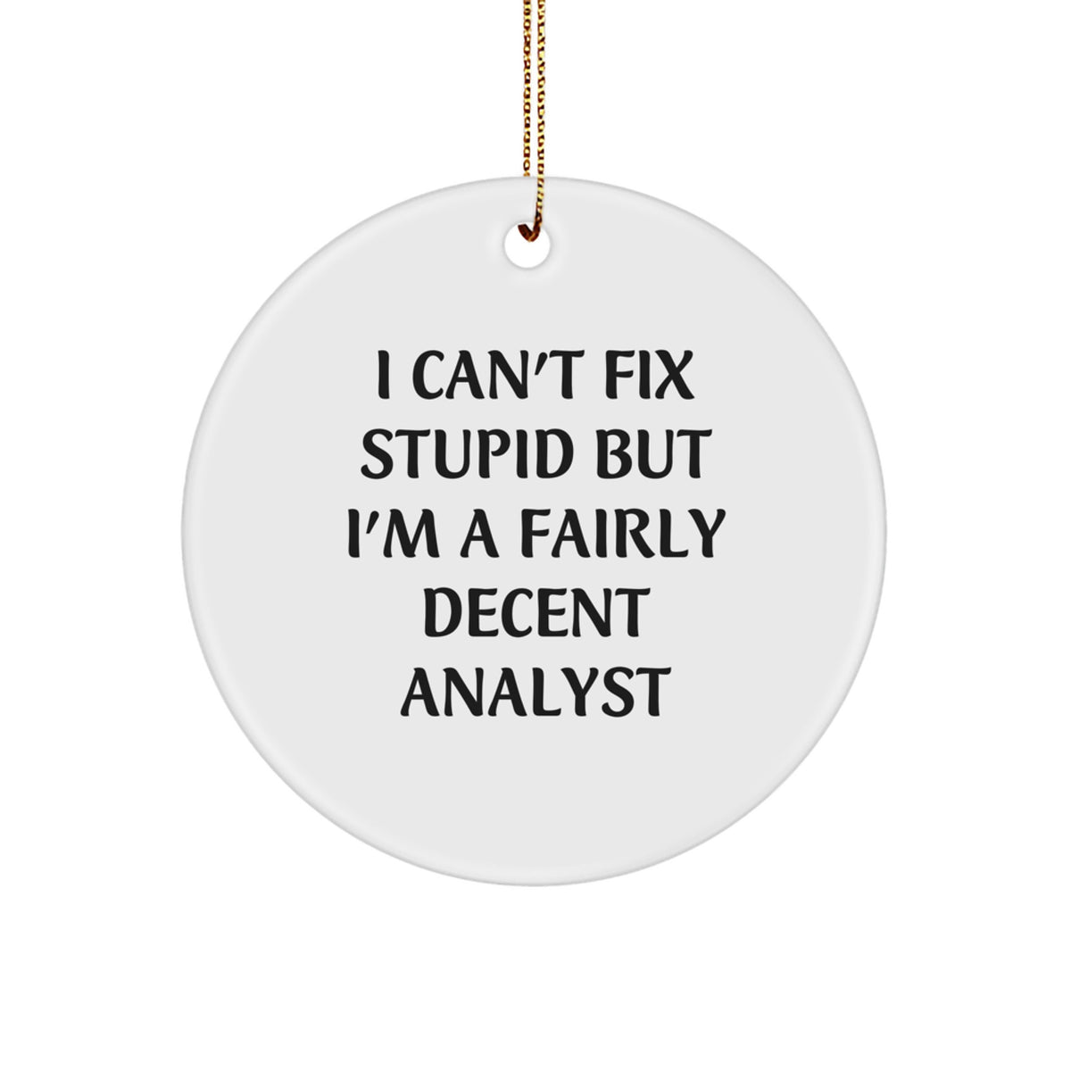 Analyst Circle Ornament Gift for Coworkers – I Can't Fix Stupid - Image 1