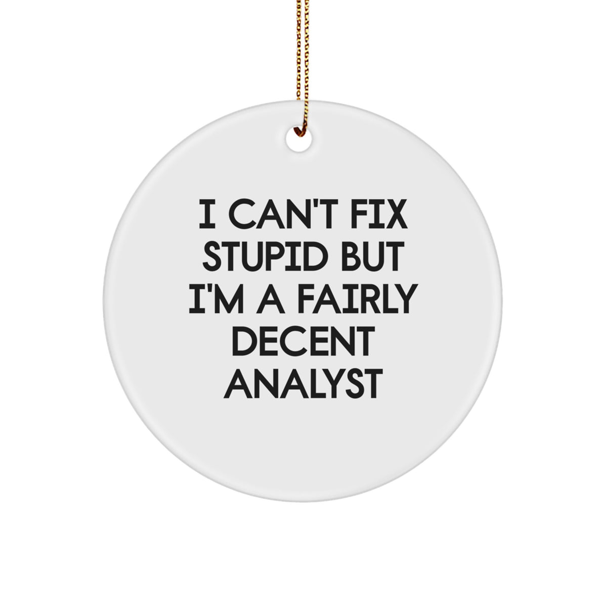 Christmas Gift Witty Analyst Circle Ornament - I Can't Fix Stupid - Image 1