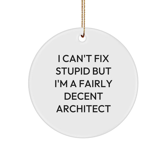 Funny Architect Gifts for Men - Circle Ornament 'I Can't Fix Stupid' Christmas Unique Presents from Friends - Image 1