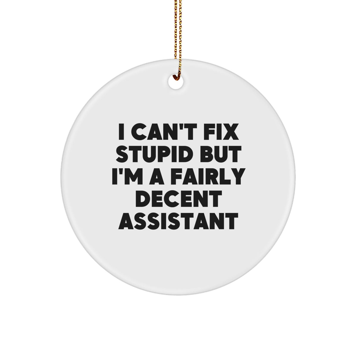 Assistant Christmas Ornament Gift for Him - I Can't Fix Stupid Keepsake - Image 1