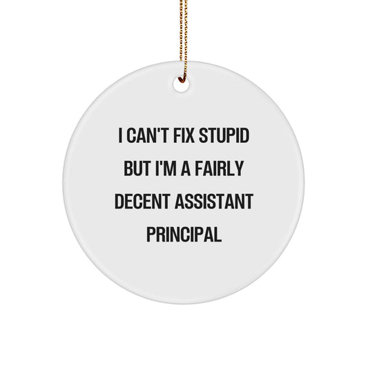 Funny Assistant Principal Gifts for Christmas - I Can't Fix Stupid But I'm A Fairly Decent Circle Ornament, Gifts from Men to Women, Friends, Coworkers, Family - Image 1