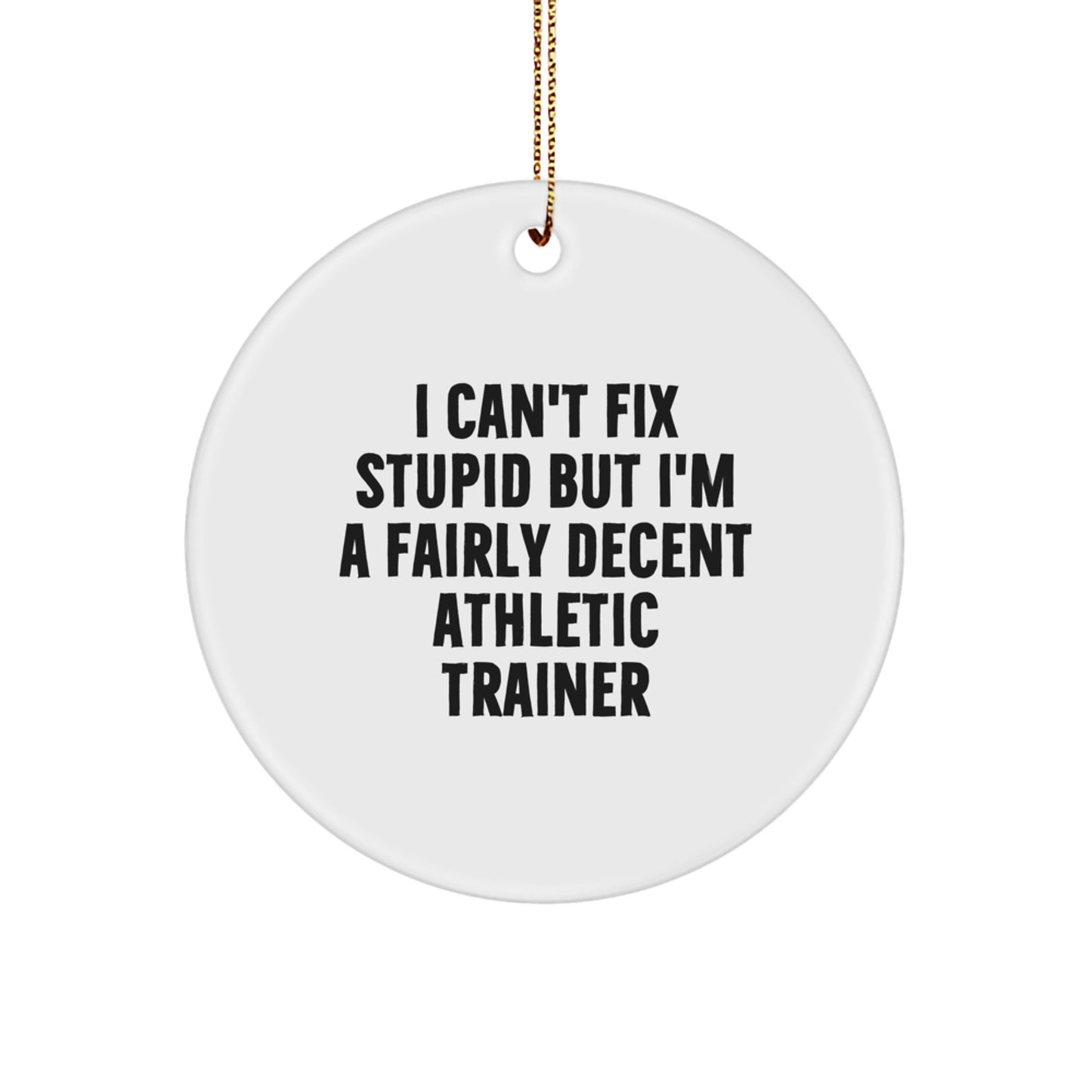 Funny Athletic Trainer Gifts from Friends and Family, 'I Can't Fix Stupid But I'm A Fairly Decent Athletic Trainer' Christmas Ornament for Men, Women, Coworkers - Image 1