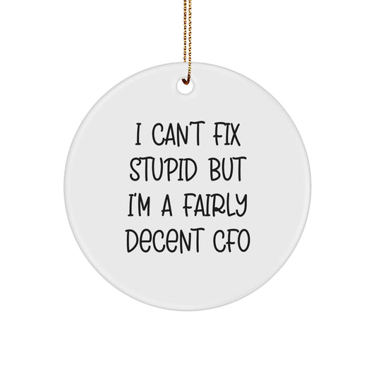 Funny CFO Gifts - I Can't Fix Stupid But I'm A Fairly Decent CFO, Circle Ornament Gifts from Men to CFOs for Christmas - Image 1