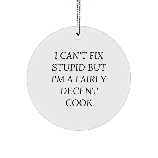 Christmas Ornament for Family Cook's Treasure - I Can't Fix Stupid Gift - Image 1