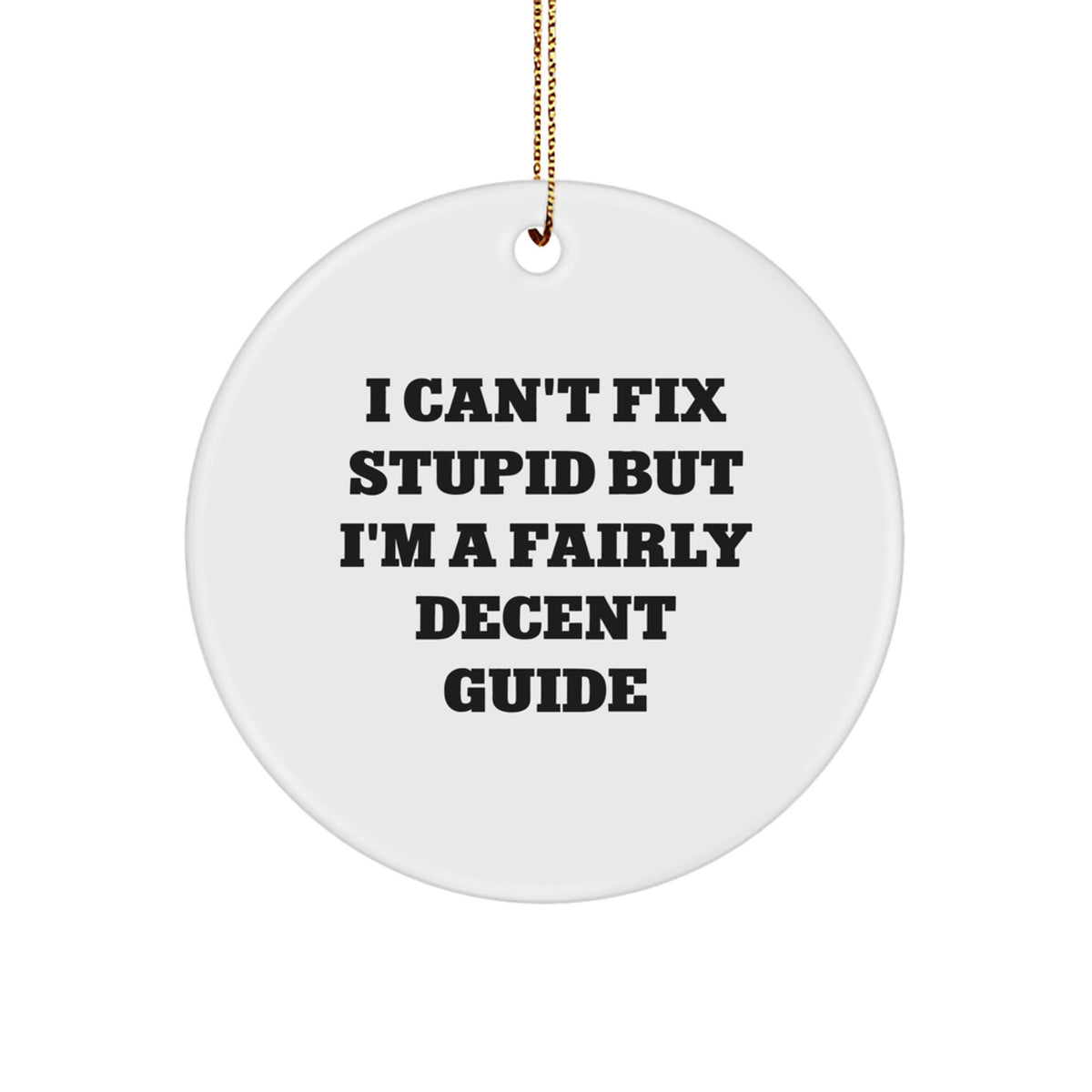 Xmas Guide Circle Christmas Ornament for Teens Gift I Can't Fix Stupid - Image 1