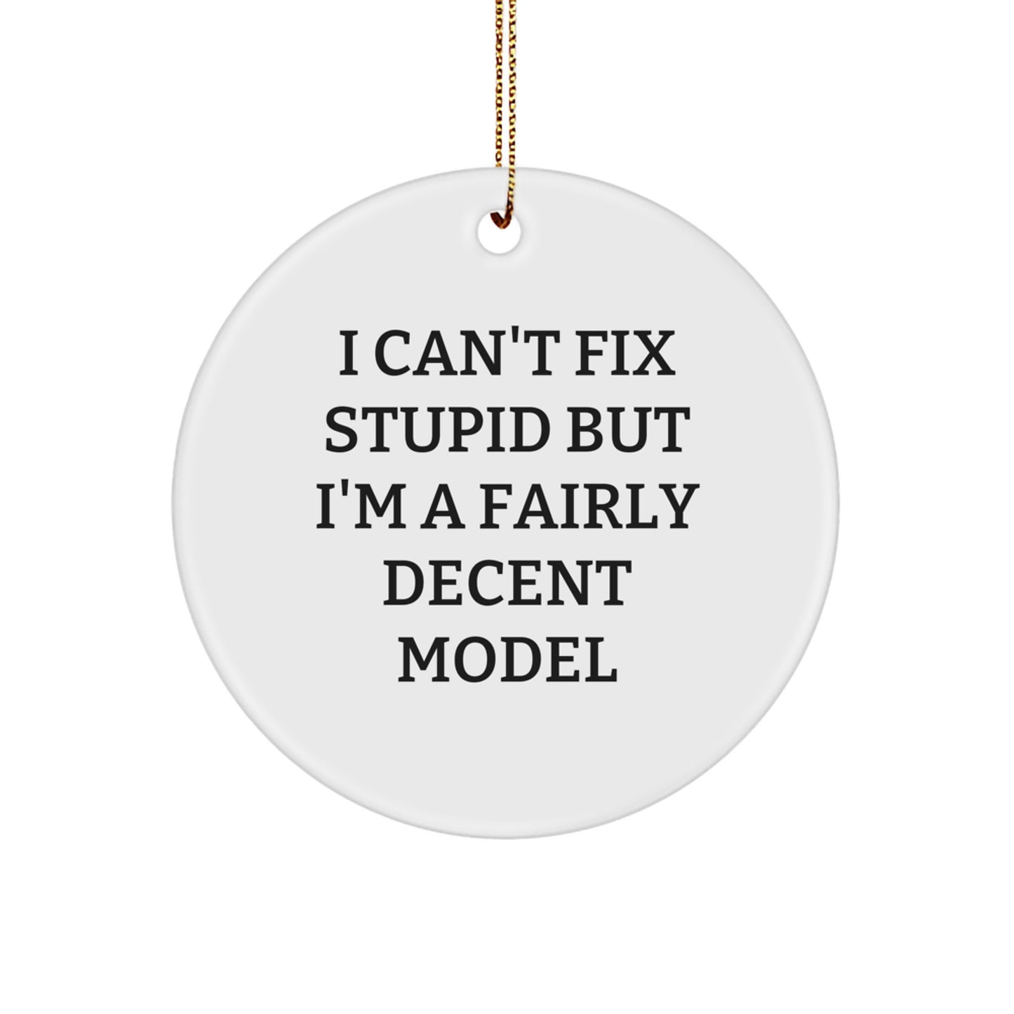 Funny Model Gifts for Men, Circle Ornament with I Can't Fix Stupid Quote, Christmas Unique Model Decorations - Image 1