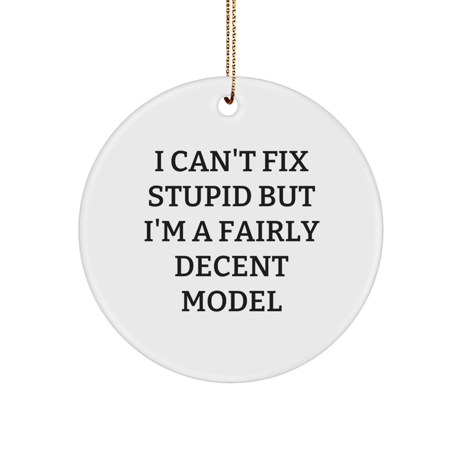 Funny Model Gifts for Men, Circle Ornament with I Can't Fix Stupid Quote, Christmas Unique Model Decorations - Image 1