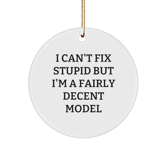 Funny Model Gifts for Men, Circle Ornament with I Can't Fix Stupid Quote, Christmas Unique Model Decorations - Image 1