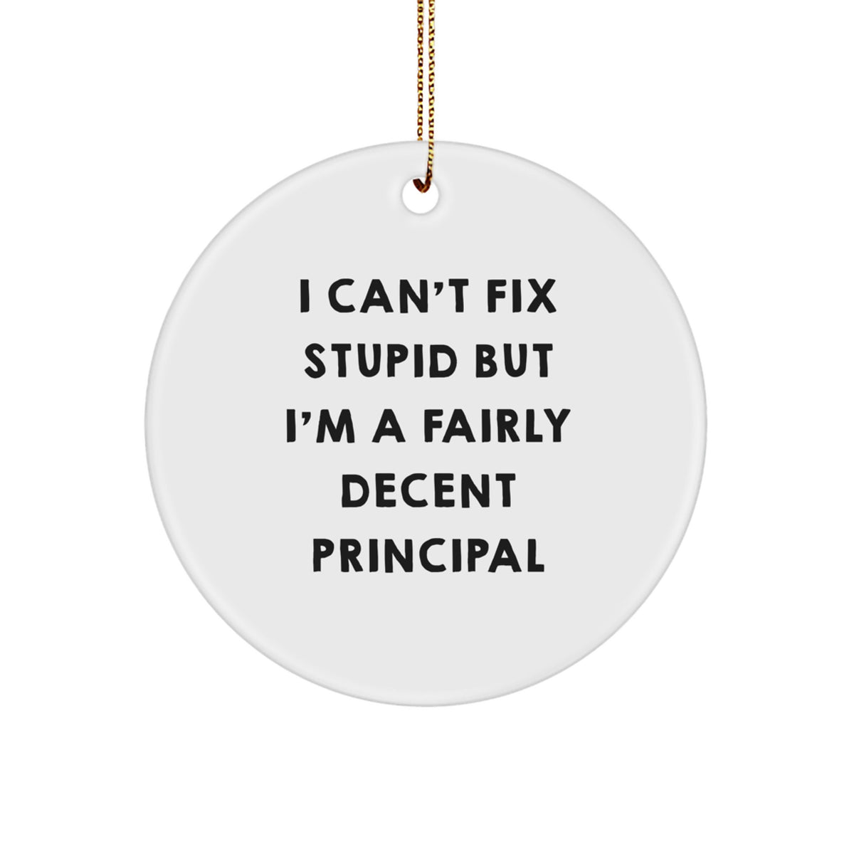 Principal Christmas Ornament for Neighbors Gift I Can't Fix Stupid - Image 1